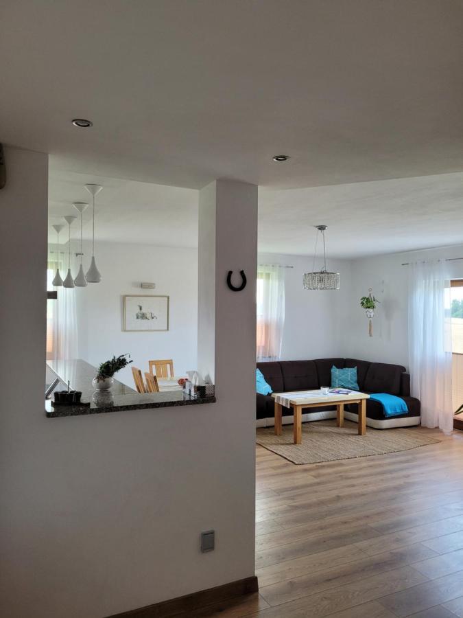 Agroturystyka Kaszuby Villagehome Borzytuchom Buitenkant foto