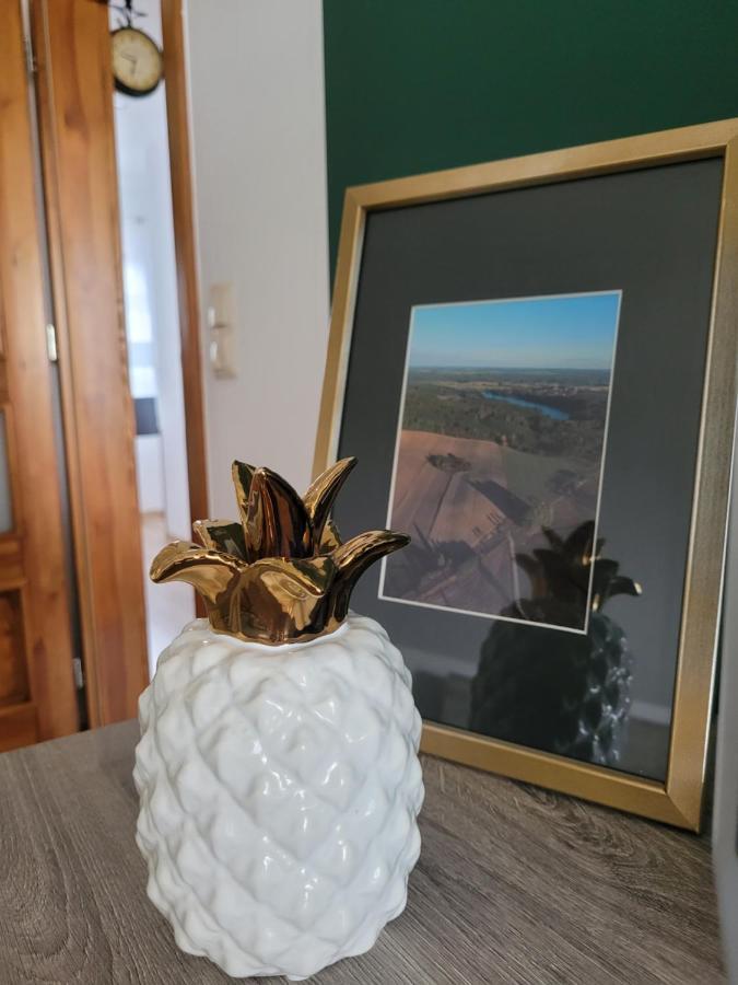 Agroturystyka Kaszuby Villagehome Borzytuchom Buitenkant foto