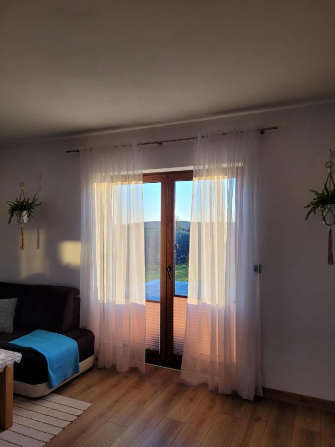 Agroturystyka Kaszuby Villagehome Borzytuchom Buitenkant foto