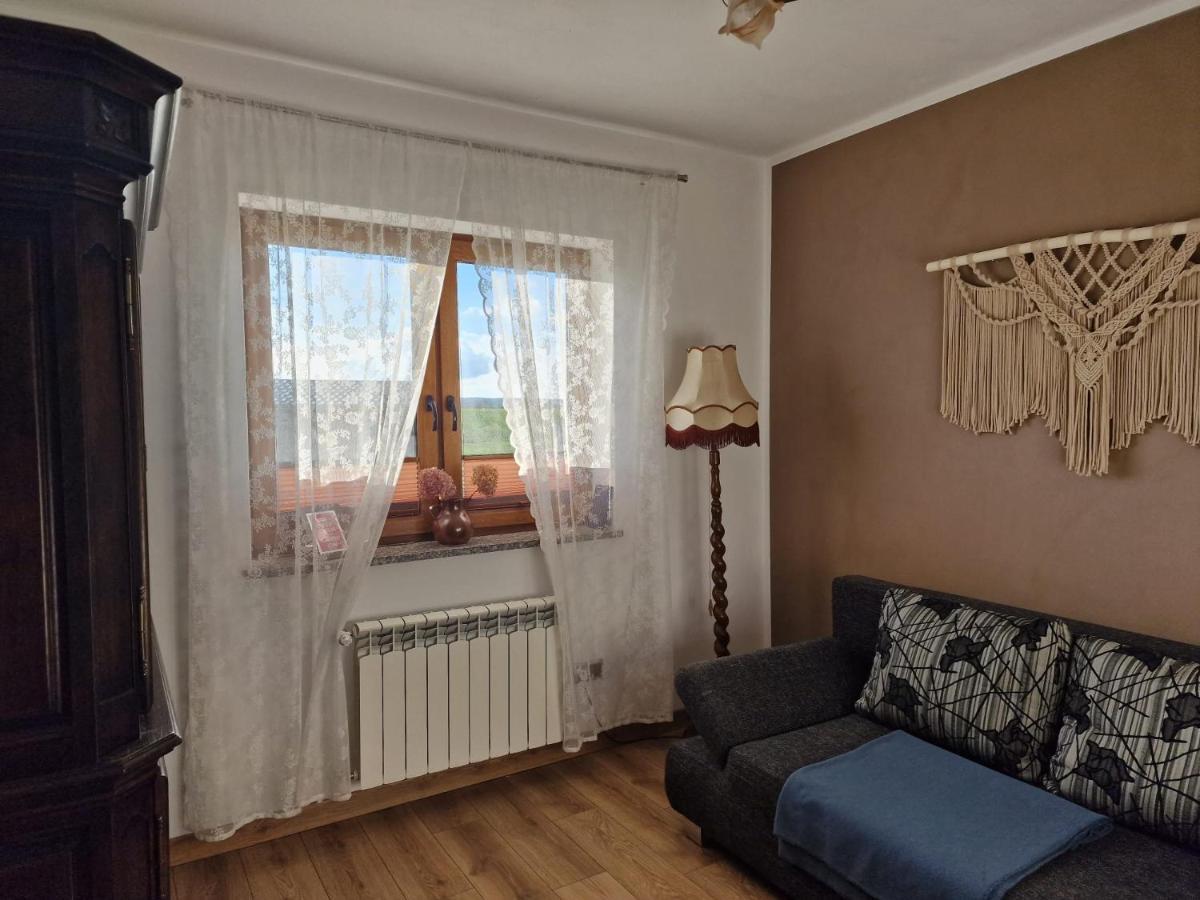 Agroturystyka Kaszuby Villagehome Borzytuchom Buitenkant foto
